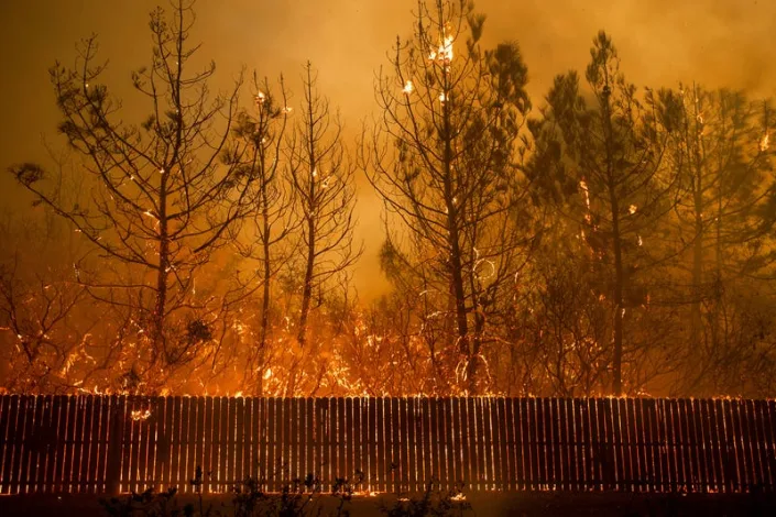wildfire engulfing trees and fence