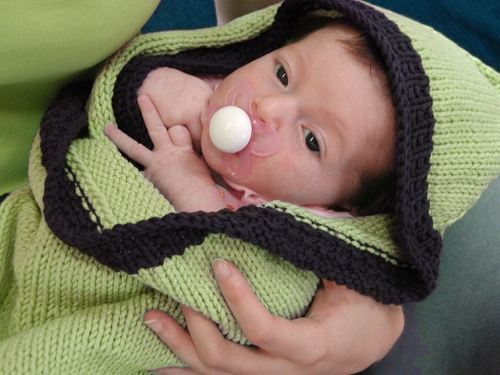 Hoodie Baby Blanket - Nikol Lohr - Illustration 2