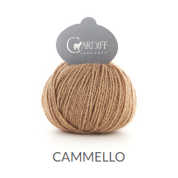 Cardiff - Cammello (couleurs)