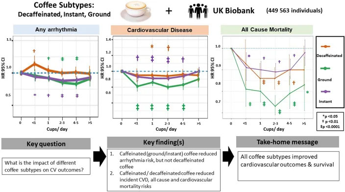 Coffee subtypes and associations with incident arrhythmia, CVD, and mortality. 