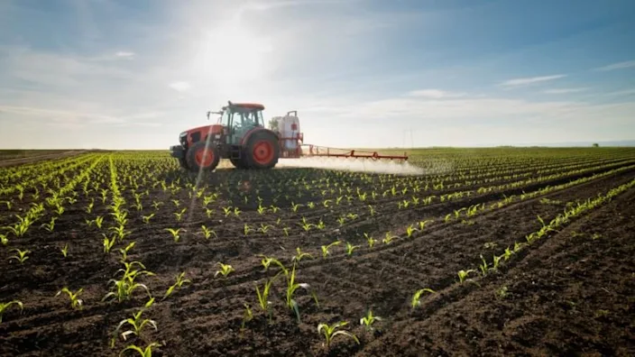 Restoring abandoned farms could help mitigate climate change: study